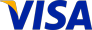 Visa card logo